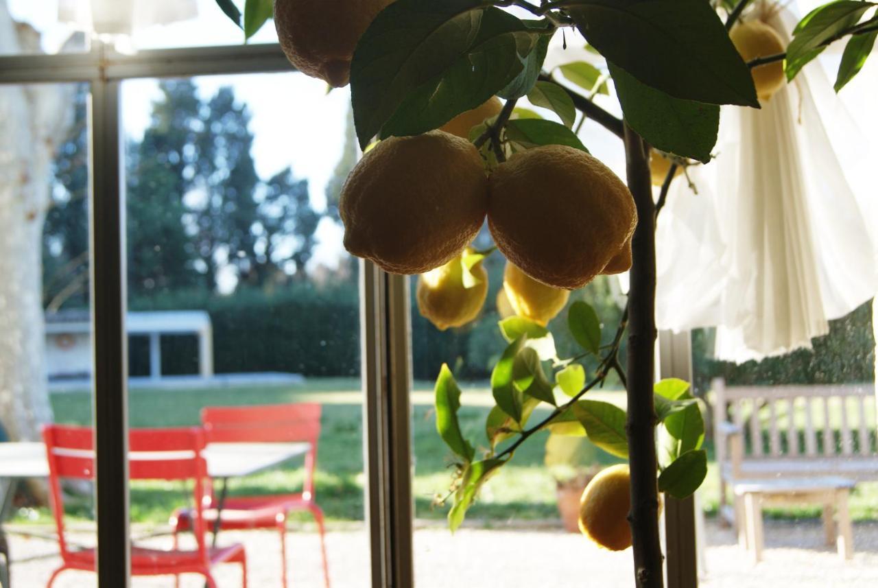 La Ferme De Gigognan Bed & Breakfast Avignon Eksteriør bilde